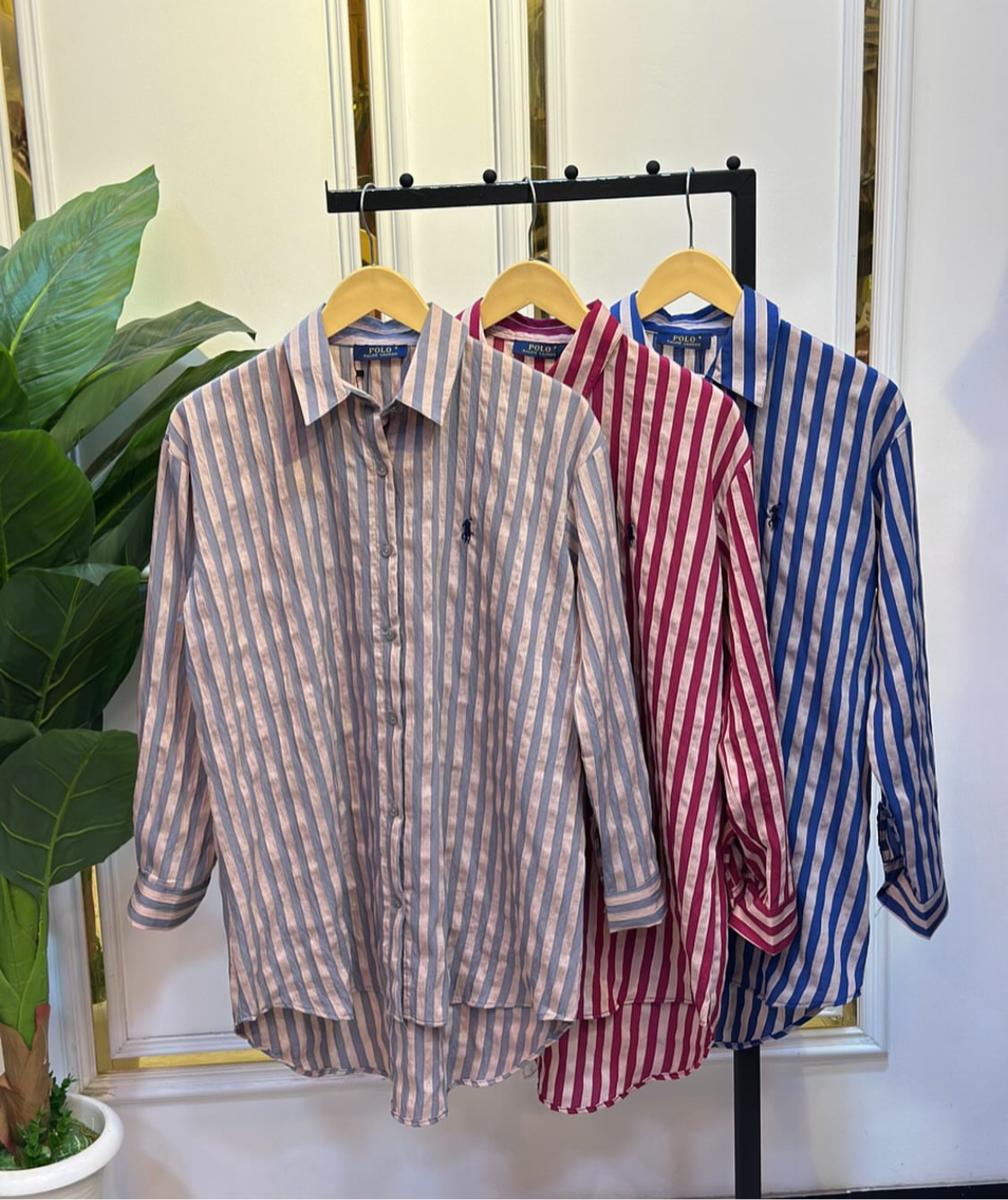 Polo Grey Rosewood Lines Shirt